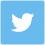 Logo Twitter